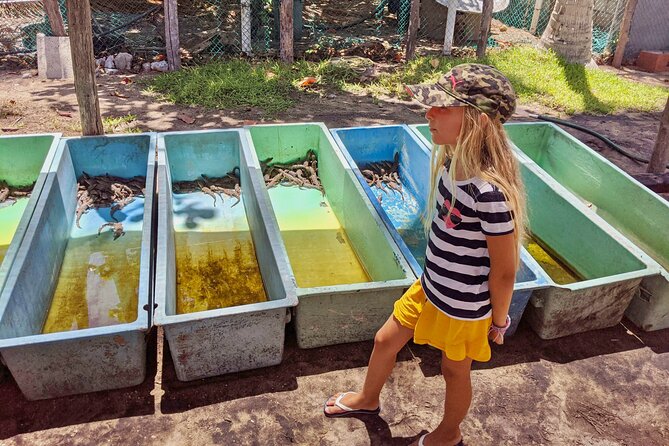 4-in-1 Tour - Mazunte,Cacao Factory, La Ventanilla & Turtle Spawn - La Ventanilla Estuary: Mangroves, Birds, Crocodiles, and a Wildlife-First Pace