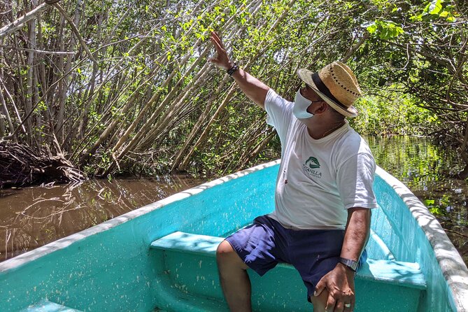 4-in-1 Tour - Mazunte,Cacao Factory, La Ventanilla & Turtle Spawn - Getting There Smoothly: Pickup, Air-Conditioned Comfort, and a Long Day Structure