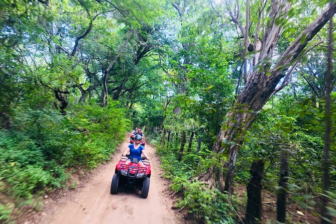 4x4 Dominican Adventure with Chocolate and Coffee Tasting - The Cenote Moment at Taino Ecological Park: Short Swim, Big Feelings