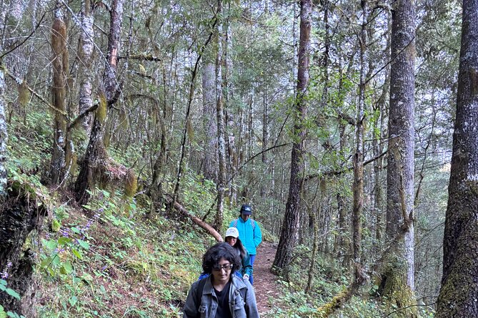 Amazing Walk through the Zapotec Mountains with Hot Chocolate - Pace and Difficulty: What 11 km Really Means Here