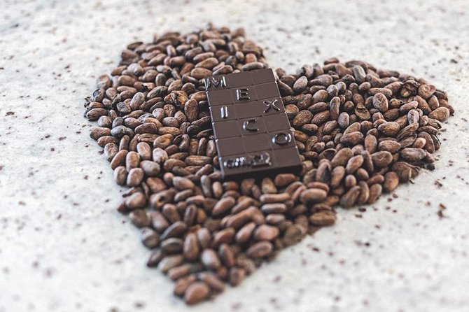 Bean to Bar Chocolate Workshop in Puerto Vallarta - What Makes the Experience Good Value at $62.90