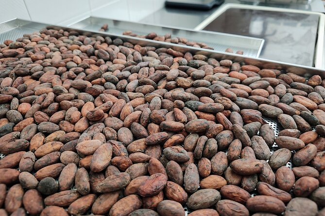 Become a chocolatier for a day, in Modica raw chocolate - Raw chocolate in Modica Alta: what you’re really signing up for