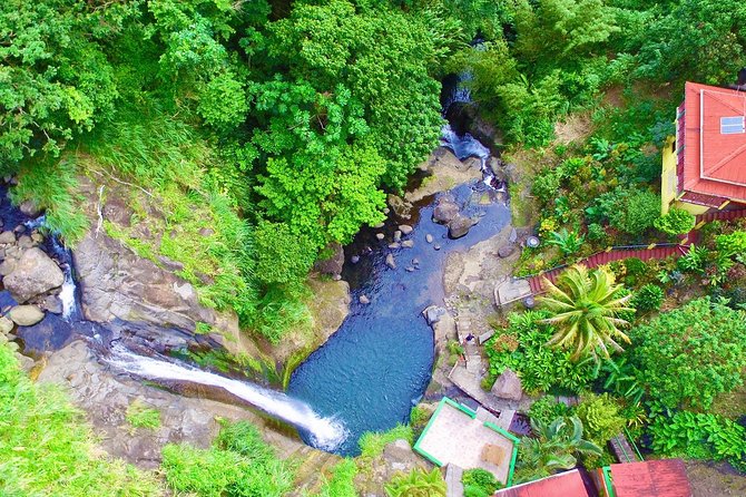 Best of Grenada: Waterfalls, Chocolate, Nutmeg Museum, History - Key reasons this tour works