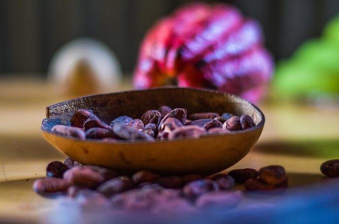 Best of Grenada: Waterfalls, Chocolate, Nutmeg Museum, History - Who should book this tour?