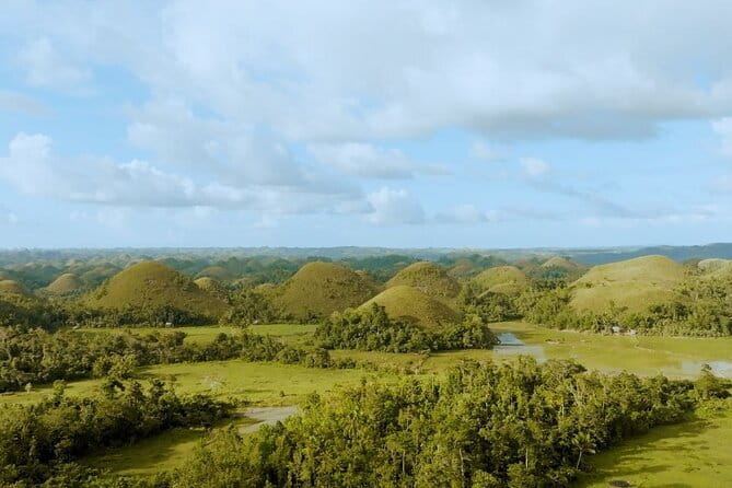 Bohol Chocolate Hills, Tarsiers & Loboc River Shared Tour - Loboc River Cruise: Lunch on the Water and the Show Along the Banks
