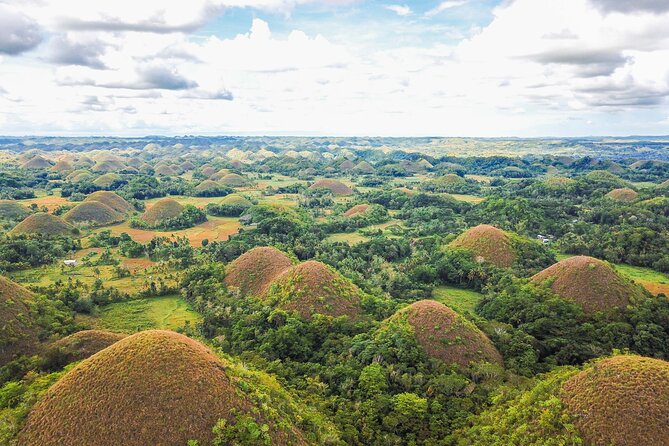 Bohol Countryside Tour: Chocolate Hills, Tarsier and Loboc River - 8:00 AM Pickup From Panglao and a Small-Group Pace That Feels Manageable