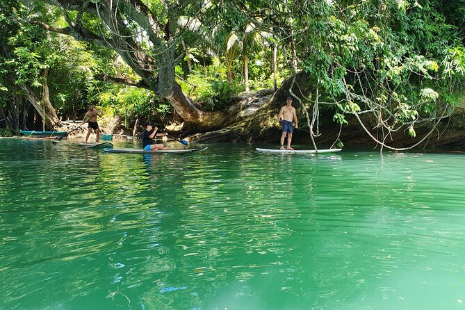 Bohol Countryside Tour: Chocolate Hills, Tarsier and Loboc River - Chocolate Hills Natural Monument: Cone-Shaped Views and Multiple Photo Angles