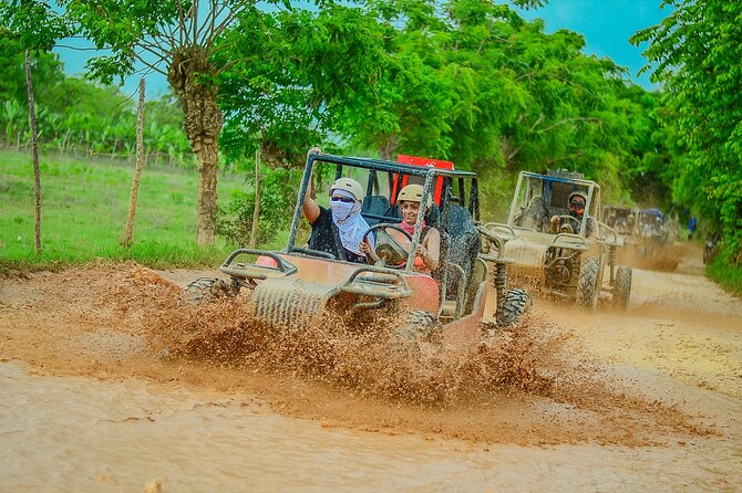 Buggy Ride Into the jungle with cave coffee & chocolate tasting - Getting there: pickup, mobile ticket, and group size feel