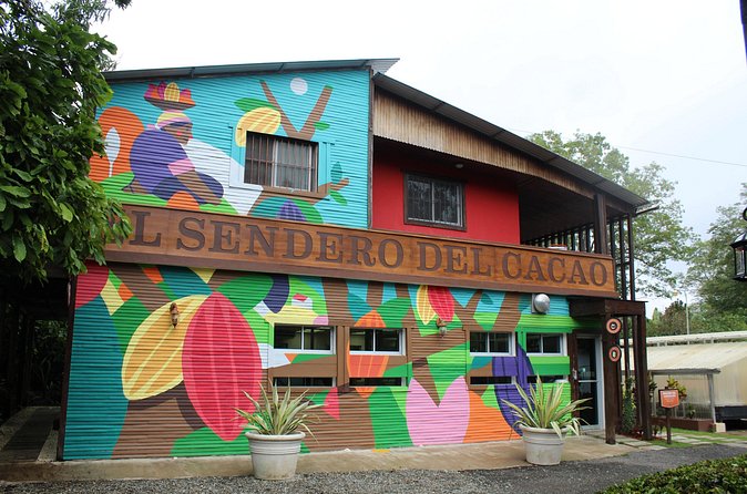 Cacao Plantation and Chocolate Factory Tour- Chocolate Lovers - Final verdict: should you book this cacao and factory tour?