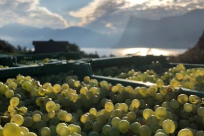 Cheese, Chocolate and Wine in the Bern Region from Luzern - Pickup, timing, and the flow of a 9-hour private day