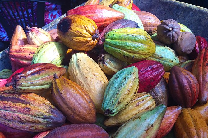 Chocolate and Cobblestones Tour with Taste of San Miguel - Key things I’d circle on your map