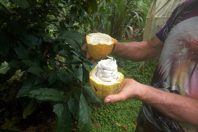 Chocolate and Farm Tour with local Tico family - Key things I’d circle on your map
