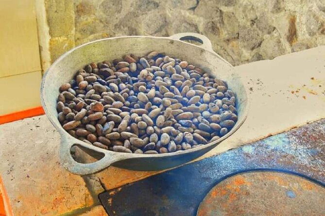 Chocolate and Farm Tour with local Tico family - Price and value check: why $45 makes sense here
