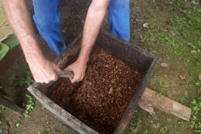 Chocolate and Farm Tour with local Tico family - Meeting point outside La Fortuna: plan your timing like a pro