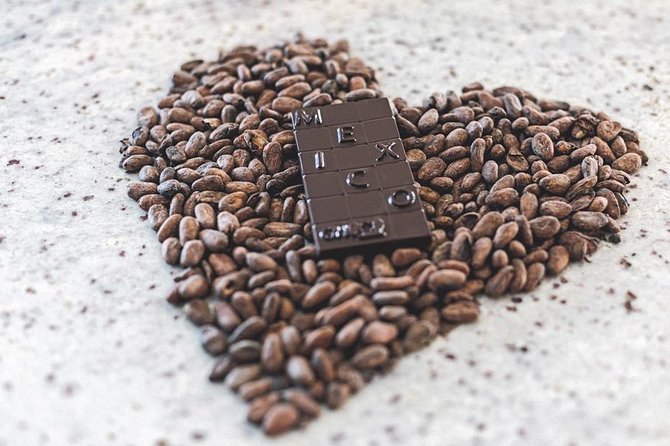 Chocolate and truffles workshop - What you learn about Mexican cacao (beyond the basics)