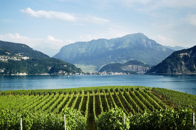Chocolate, Cheese and Wine Tour in Luzern region - The Cheese Stop: Why Dairies Teach You More Than Tastings