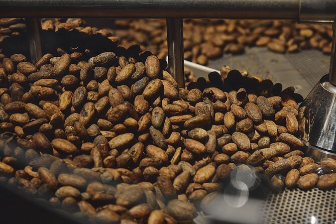 Chocolate Experience at La Fabbrica del Cioccolato in Milan - The chocoteca resting room: why chocolate doesn’t rush