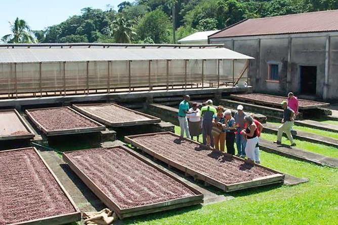 Chocolate Factory Belmont Estate, Annandale Falls & Grand Etang Lake Tour - Key things to know before you go