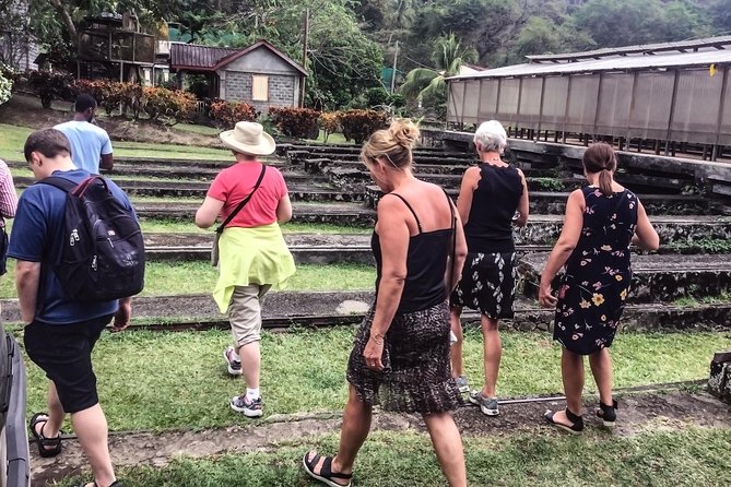 Chocolate Factory Belmont Estate, Annandale Falls & Grand Etang Lake Tour - Stop 3: Belmont Estate Grenada for the Cocoa Plantation Story