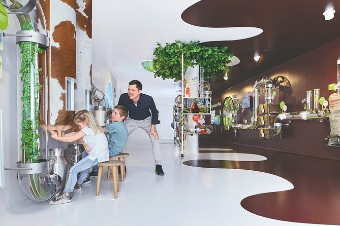 Chocolate factory Individual experience tour - Key Highlights You’ll Care About