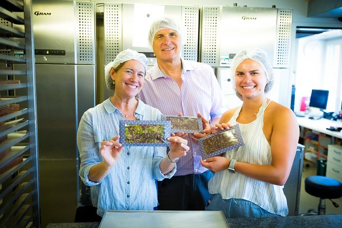 Chocolate Tasting with Lake Trip and City Tour: The Ultimate Lucerne Experience - The role of a private guide (and why it matters in Lucerne)