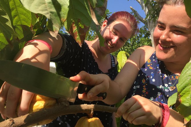 Chocolate Tour in Vallarta - Who This Tour Is Best For