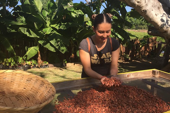 Chocolate Tour in Vallarta - FAQ