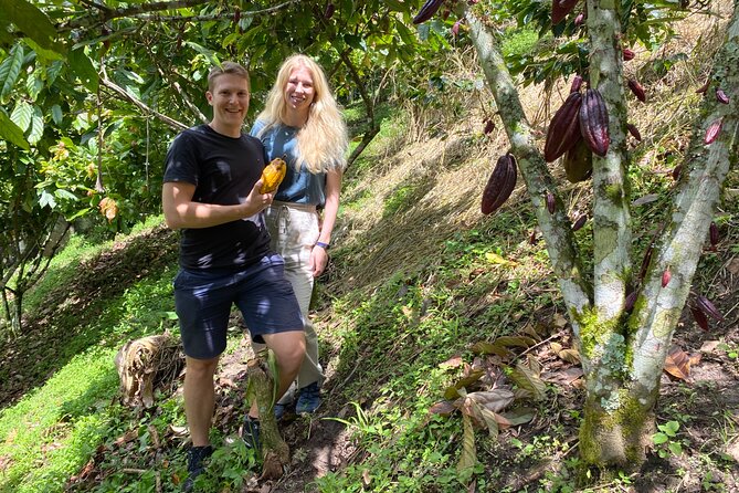 Chocolate tour near Medellin - What You Actually Do: Picking Pods, Preparing Beans, and Making Your Own Bar