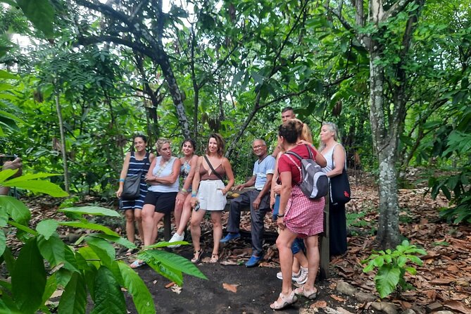 Cocoa & Artisan Chocolate Route with an Historical Tour in Puerto Plata City - Stop at Hacienda Cufa: cacao production, chocolate facial therapy, and making your own chocolate