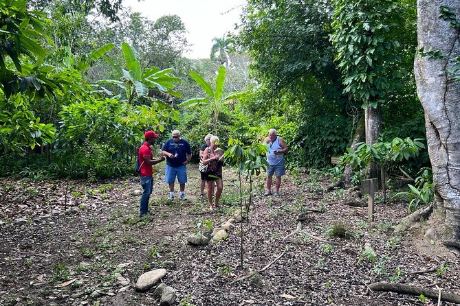 Cocoa & Artisan Chocolate Route with an Historical Tour in Puerto Plata City - Who should book this tour (and who might skip it)