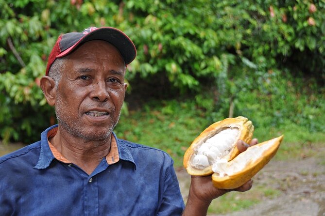 Cocoa & Artisan Chocolate Route with an Historical Tour in Puerto Plata City - The day’s timing: pickup, drive, and when you’ll be back in the city