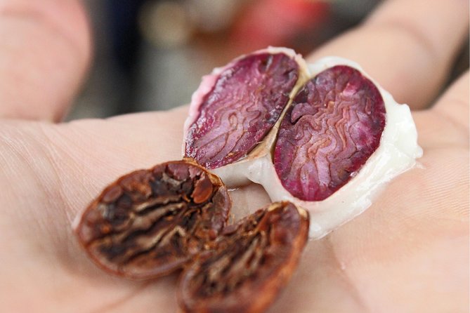 Cocoa farm and Chocolate making! - A Private Cocoa Farm Day Just Outside Guayaquil