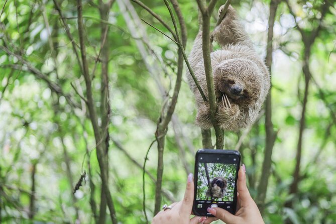 Coffee & Chocolate Tour+Sloths Park & Llanos de Cortez Waterfall - How this Tamarindo day strings together three kinds of Costa Rica