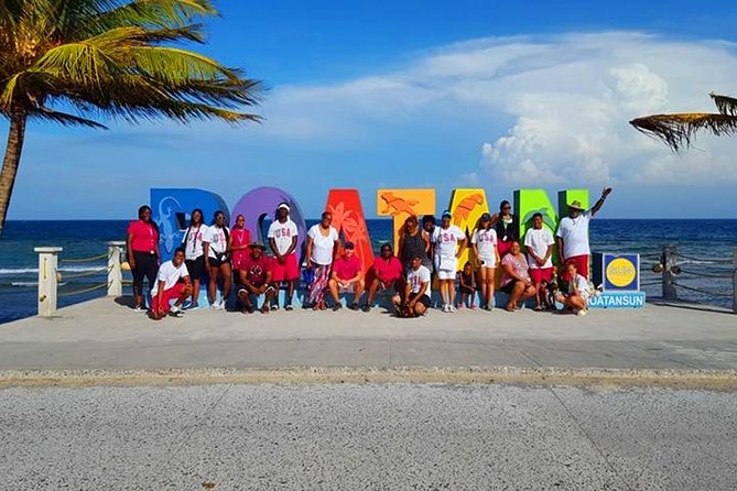 Cruise Ship Combo: Sloths, Chocolate Factory, City Tour, Beach, Private Shuttle - A Half-Day Roatan Plan That Leaves Room for West Bay