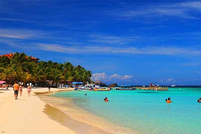 Cruise Ship Family Chocolate Factory, Sloths & Monkeys, Beach, Transportation - A Family Day on Roatan: Sloths, Monkeys, Chocolate, and Beach