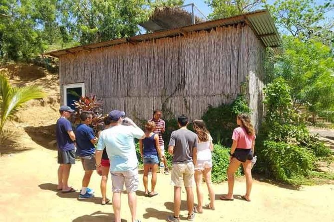 Cruise Ship Family Chocolate Factory, Sloths & Monkeys, Beach, Transportation - Rum & Cake Store: The Short Cultural Side Trip