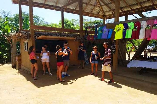 Cruise Ship Family Chocolate Factory, Sloths & Monkeys, Beach, Transportation - Beach Break: Clear Water Time (With Crowds to Expect)