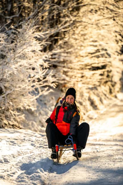 Day/Night Sledding + ALL-YOU-CAN-EAT Cheese&Chocolate Fondue - Key highlights worth planning around