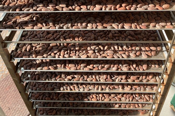 Ethical Chocolate Tour - The Multiple-Venue Structure: Why It Feels Better Than One Long Session