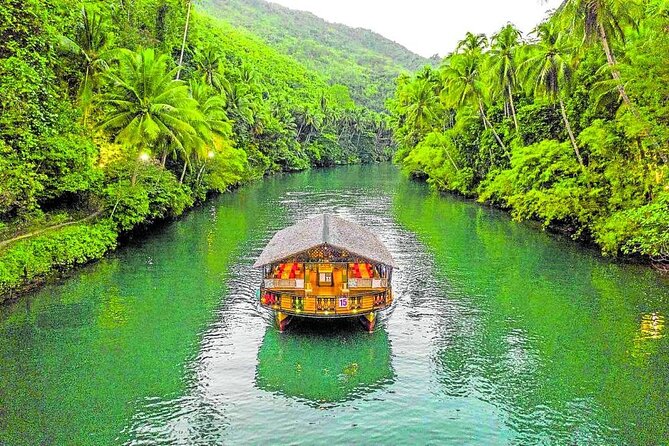 Exclusive Bohol,Philippines Chocolate Hills-Tarsier Tour - Loboc River Cruise: Buffet Lunch on the Water to Busay Falls