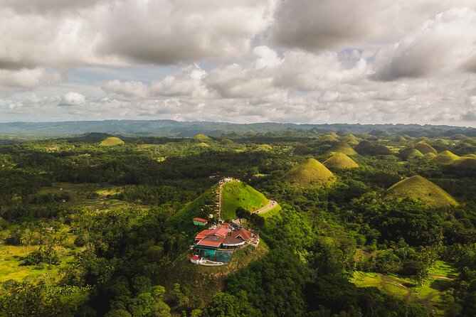 Famous Bohol Chocolate Hills Loboc River Cruise Tarsier Tour - Bilar Man-Made Forest and Chocolate Hills: conservation then icon views