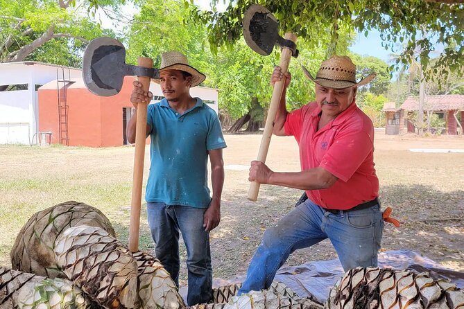 Finca 18 Puerto Vallarta Tequila Tour + Chocolate Pairing - Finca 18 on a ranch: what this experience actually feels like