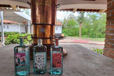 Finca 18 Puerto Vallarta Tequila Tour + Chocolate Pairing - The distillery visit: watching the process, not just hearing about it