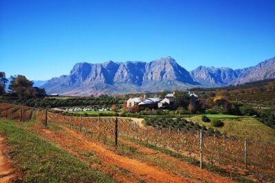 Full-Day Chocolate, Cheese, Olive and Wine Tour from Stellenbosch - The 8-Hour Schedule: What You Can Expect From Start to Finish
