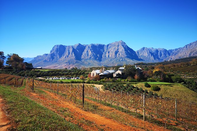 Full-Day Chocolate, Cheese, Olive and Wine Tour from Stellenbosch - The 8-Hour Schedule: What You Can Expect From Start to Finish