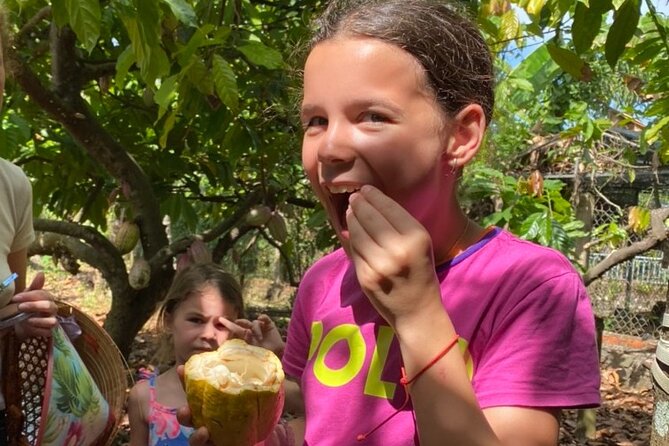 Full Day Experience to Farm and Chocolate - Key Moments Worth Getting Excited About