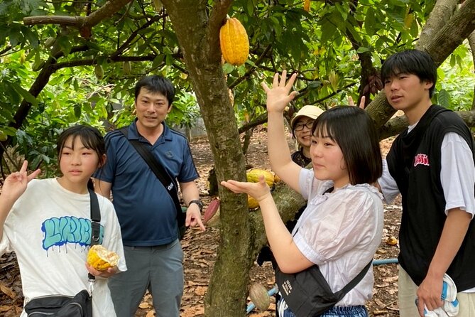 Full Day Experience to Farm and Chocolate - Group Size and What It Means for Your Experience