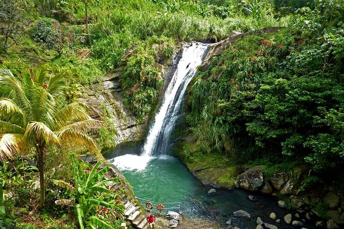 Full-Day Tour: Concord Waterfall, Chocolate Factory, Rum Distillery, Grand Etang - Key highlights that make this tour worth your time