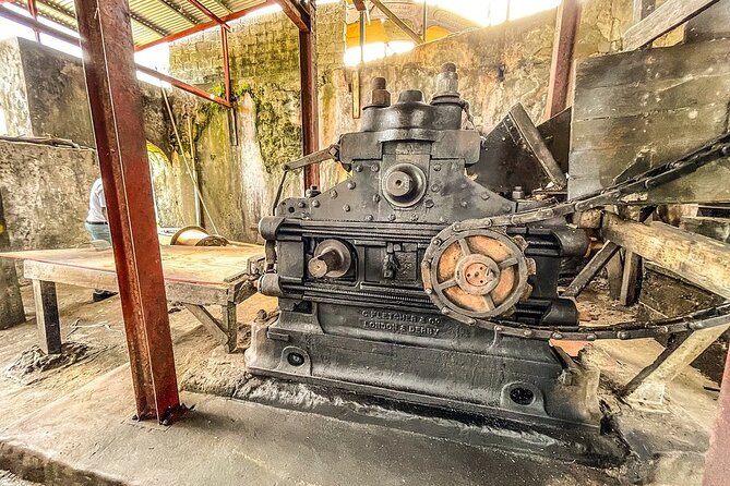Full-Day Tour: Concord Waterfall, Chocolate Factory, Rum Distillery, Grand Etang - Jouvay Chocolate: cocoa fields, quick tastings, and shop time