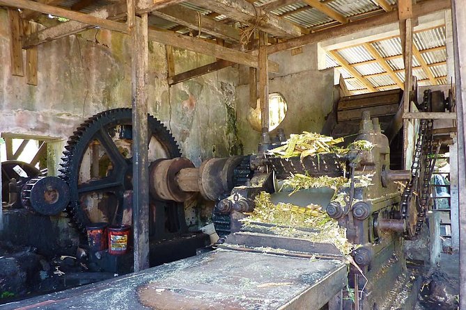 Full-Day Tour: Concord Waterfall, Chocolate Factory, Rum Distillery, Grand Etang - River Antoine Estate Rum Distillery: old-school water power and samples